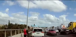 Man hospitalised after being shot by police on West Auckland motorway