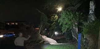 Wild weather: Warnings, watches remain in place for wind and rain for much of country