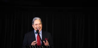 Peters returns as Kingmaker under Newshub-Reid Research poll