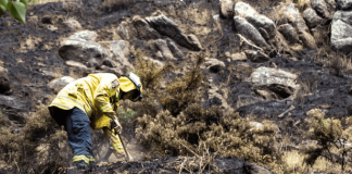 ‘Who knows what the summer is going to bring’: El Niño expected to increase fire risk