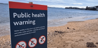 Swimmers warned to stay out of water at Auckland beaches