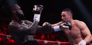 ‘I’m back’ roars Joe Parker as he dominates favourite Wilder