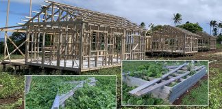 Petition calls for investigation into claims houses for tsunami victims on Nomuka and Fonoifua not finished and materials abandoned