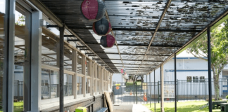 Ministry of Education starts urgent cleanup at Panmure school