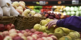 Family group charged with stealing $16,000 worth of groceries