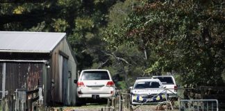 Two bodies found at rural Auckland property