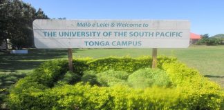Jail for unlicensed drunk woman who injured partner in Tongatapu high-speed crash
