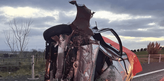 Five dead in crash near Hamilton, NZ