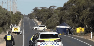 Two dead, two critically injured in mini-bus rollover near Mildura