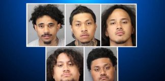 Tongan suspects jailed in smash-and-grab robbery at USA’s Sunnyvale jewellery store