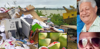 Tonga news in brief: Rubbish dumped near school sparks outrage; watermelon farm vandalised; man electrocuted while car washing; driver charged over death