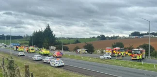 SH1 in Auckland reopens after crash kills three