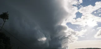 Weather: Warning as severe wind threatens Wellington, Wairarapa and Kaikōura