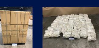 New Zealand’s largest drug bust: Comanchero Muli Paunga pleads guilty