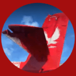 Lulutai logo
