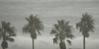 Flights and trains canceled in Tokyo area as a strong typhoon swerves nearby