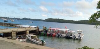 Alleged breach of Sunday ban by whale watchers in Vava‘u
