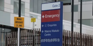Woman died in Waikato Hospital because cardiac alarm volume was turned down