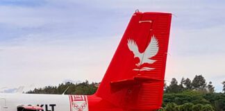 Lulutai Airlines bid extension raises concerns over transparency and competence