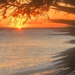 Sea and Sunset