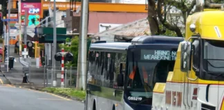 Person dies following assault on Onehunga bus, manhunt underway