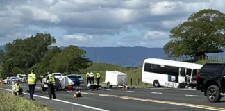 One dead, 13 people rushed to hospitals after bus crash closes State Highway 1 near Tirau