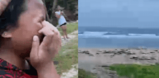 Tonga’s infamous Laulea Beach claims its third victim this year after one person reported drowning