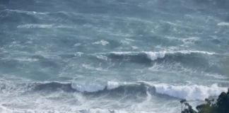 Swimmer dies at Auckland’s Piha Beach after getting caught in a rip