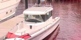 Locals stunned as water mysteriously turns red near Sydney Harbour