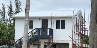 Gov’t and local builders’ disputes over tsunami construction project end in contracts awarded to Chinese workers