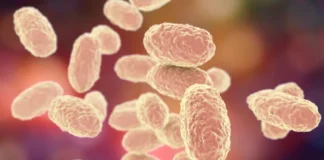 Whooping cough: Samoa waits for more test results from New Zealand