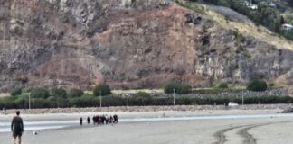Body found in search for swimmer at Christchurch beach