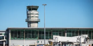 Air NZ flight aborts Christchurch take-off after bird strike