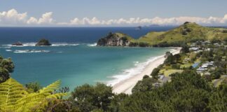 Person dies after rescue from Coromandel cliff