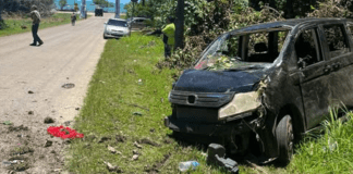 Man dies after Hahake, Tt crash: reports