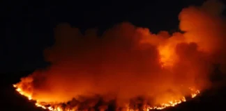Fire on Māngere maunga deliberate – Auckland Council maunga authority