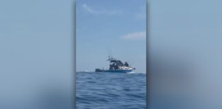 Suspected illegal fishing off Goat Island prompts call for help