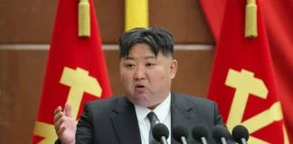 North Koreans eating hot dogs and seeking to divorce will be sent to jail