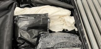 Auckland Airport seizure: Meth worth $11m found in US woman’s suitcase