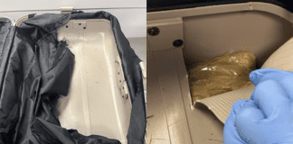 Smuggler who carried $1.6m of meth into NZ jailed for 6.5 years