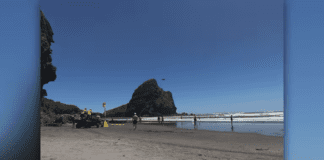 Reports of fisherman falling into water off rocks at Piha