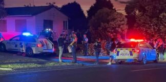 Gun allegedly fired at vehicle from another in Auckland’s Mount Wellington