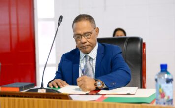 Backlog and long waits prompt warning for overseas Tongans over land‑related travel