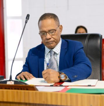 Backlog and long waits prompt warning for overseas Tongans over land‑related travel