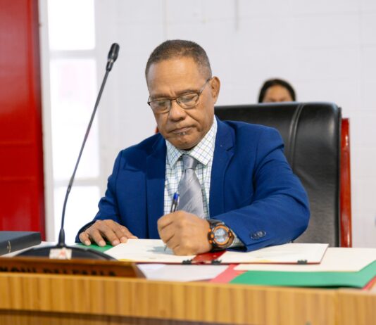 Backlog and long waits prompt warning for overseas Tongans over land‑related travel