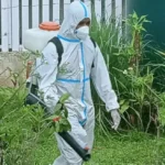 Tonga Dengue RNZ