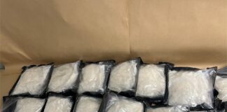 Woman arrested at Auckland Airport with 15kg of meth in luggage from Canada