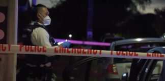 Man stabbed during altercation on Auckland’s Dominion Rd