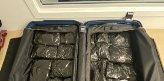 Auckland Airport drug smuggler gets five year prison term after $5.3M ecstasy haul