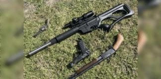 Four firearms located in guitar case in Auckland